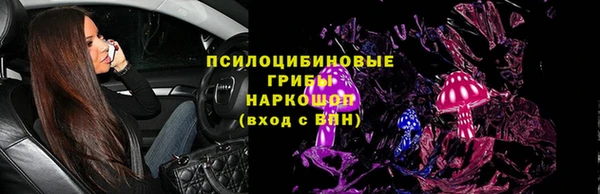 не бодяженный Бородино