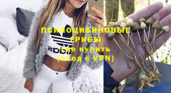 не бодяженный Бородино