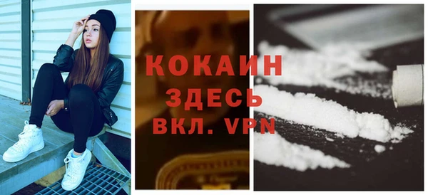 не бодяженный Бородино