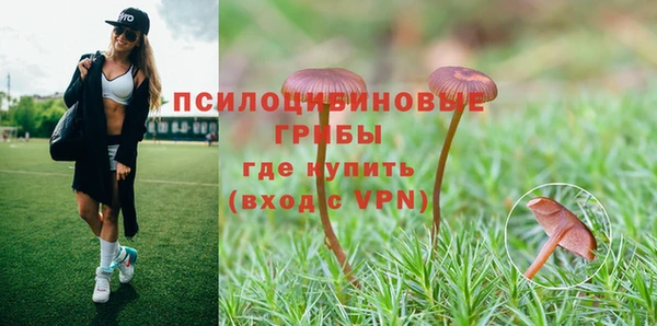 не бодяженный Бородино