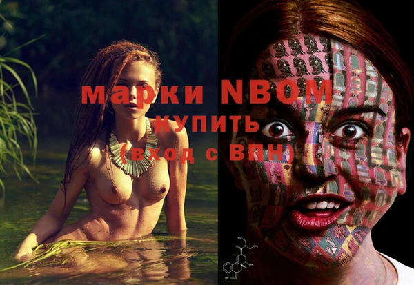 не бодяженный Бородино
