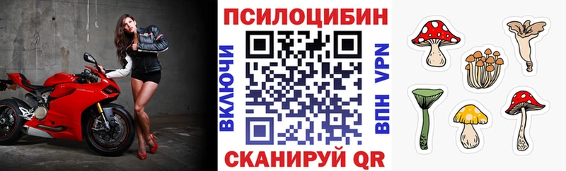 Галлюциногенные грибы прущие грибы  дарк нет клад  Бердск 