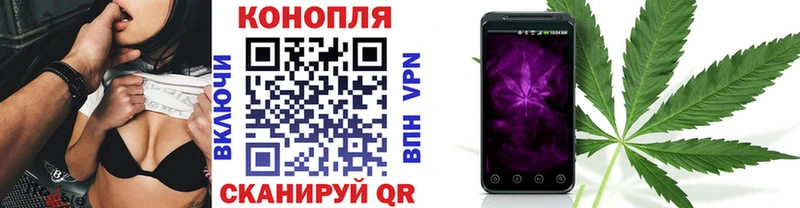 mega   Бердск  Шишки марихуана семена 